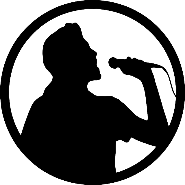 Singzout Karaoke LLC
